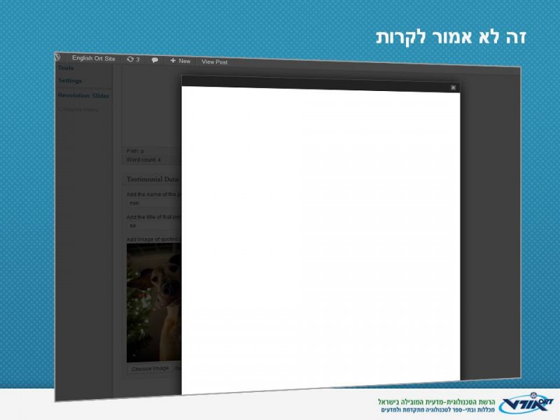 זה מה שקרה - מסך לבן אחרי לחיצה על insert into post. זה לא אמור לקרות...