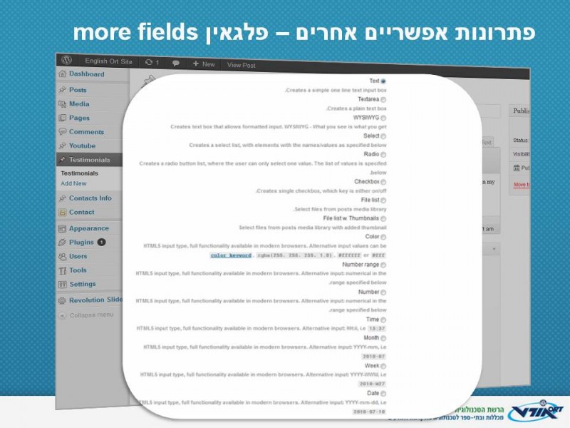 זו דוגמה של הניהול של more fields