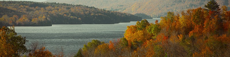 תמונת נוף מתוך lif of pix