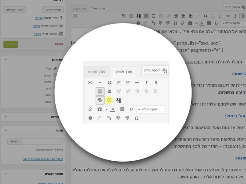 הכפתור שפותח את החלון שיוצר את השורטקוד